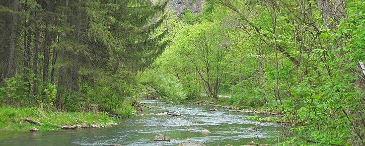 Spring Creek 735×294