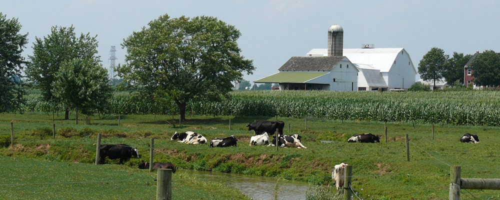 Amish Farm 1000×400