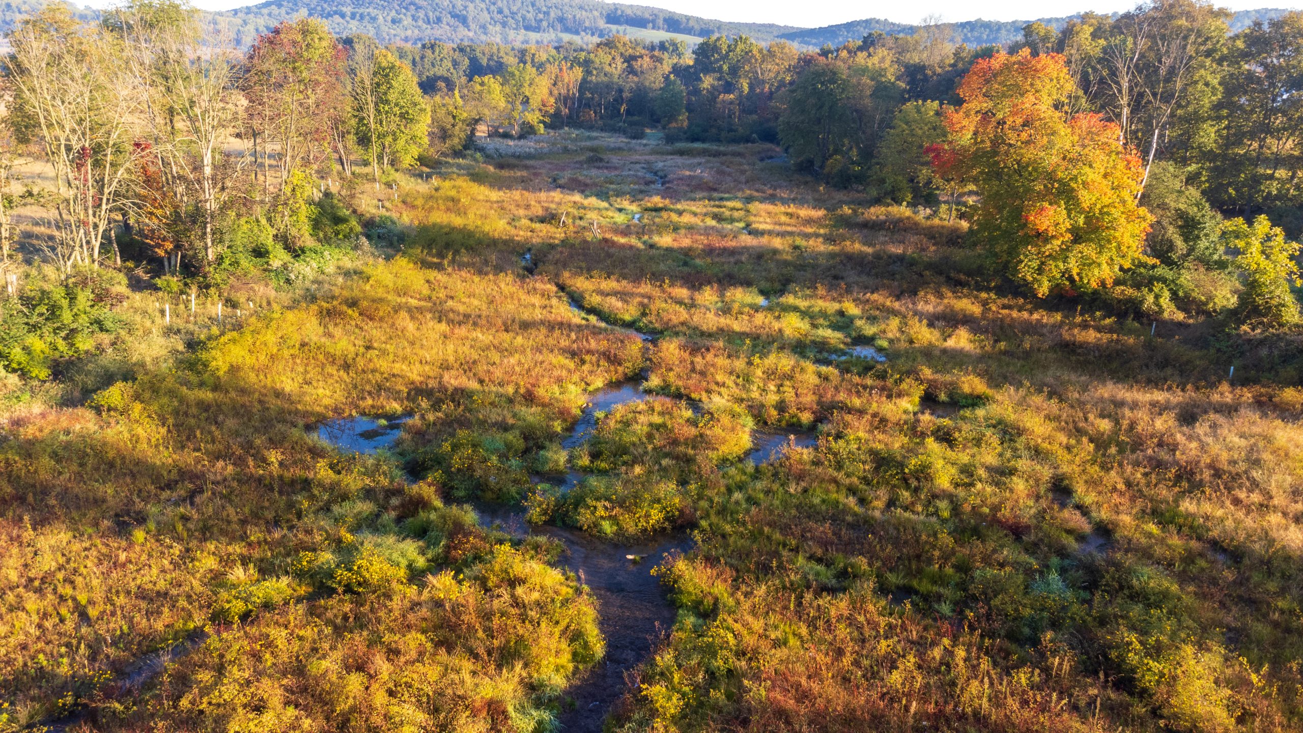 A.Hannigan_FallProjectPhotos_Cocalico_Drone-33