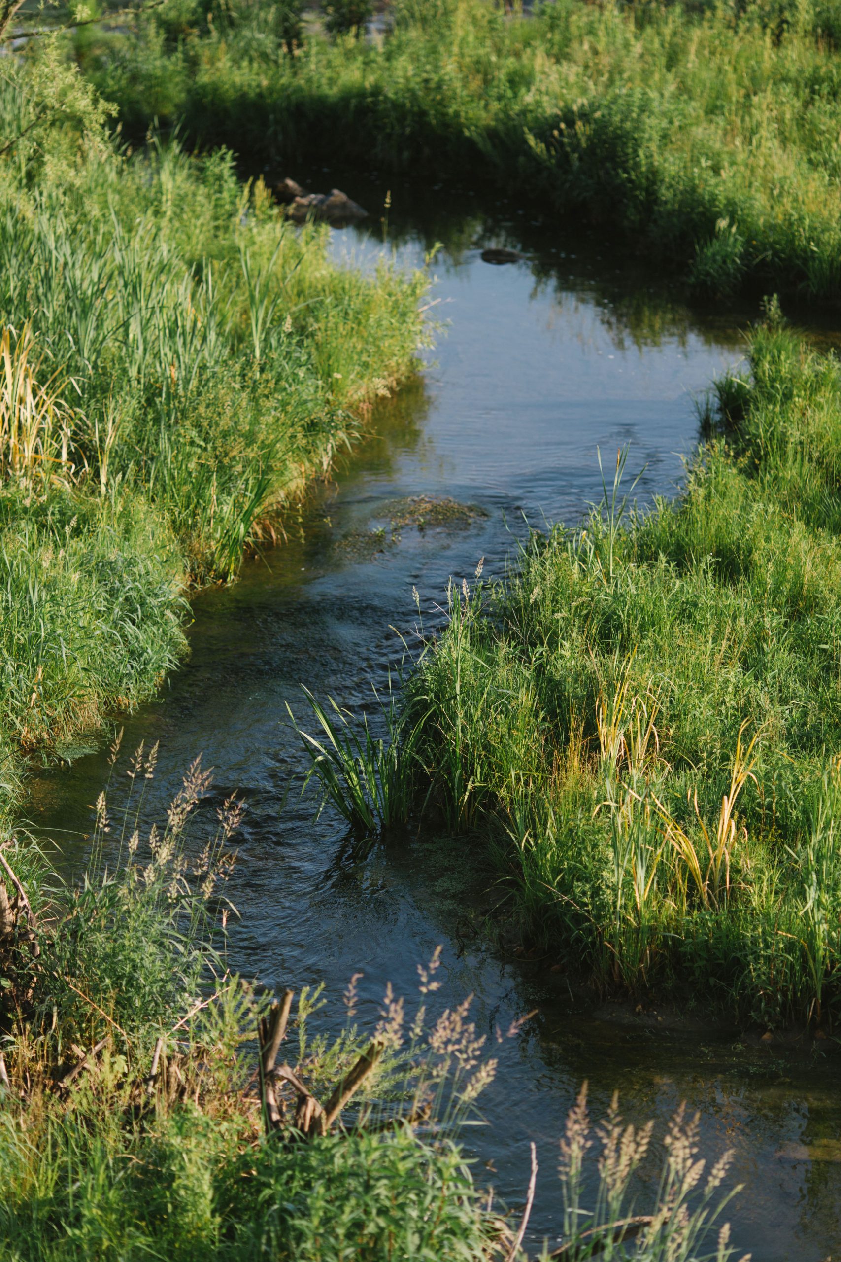 View More: http://char-co.pass.us/landstudies