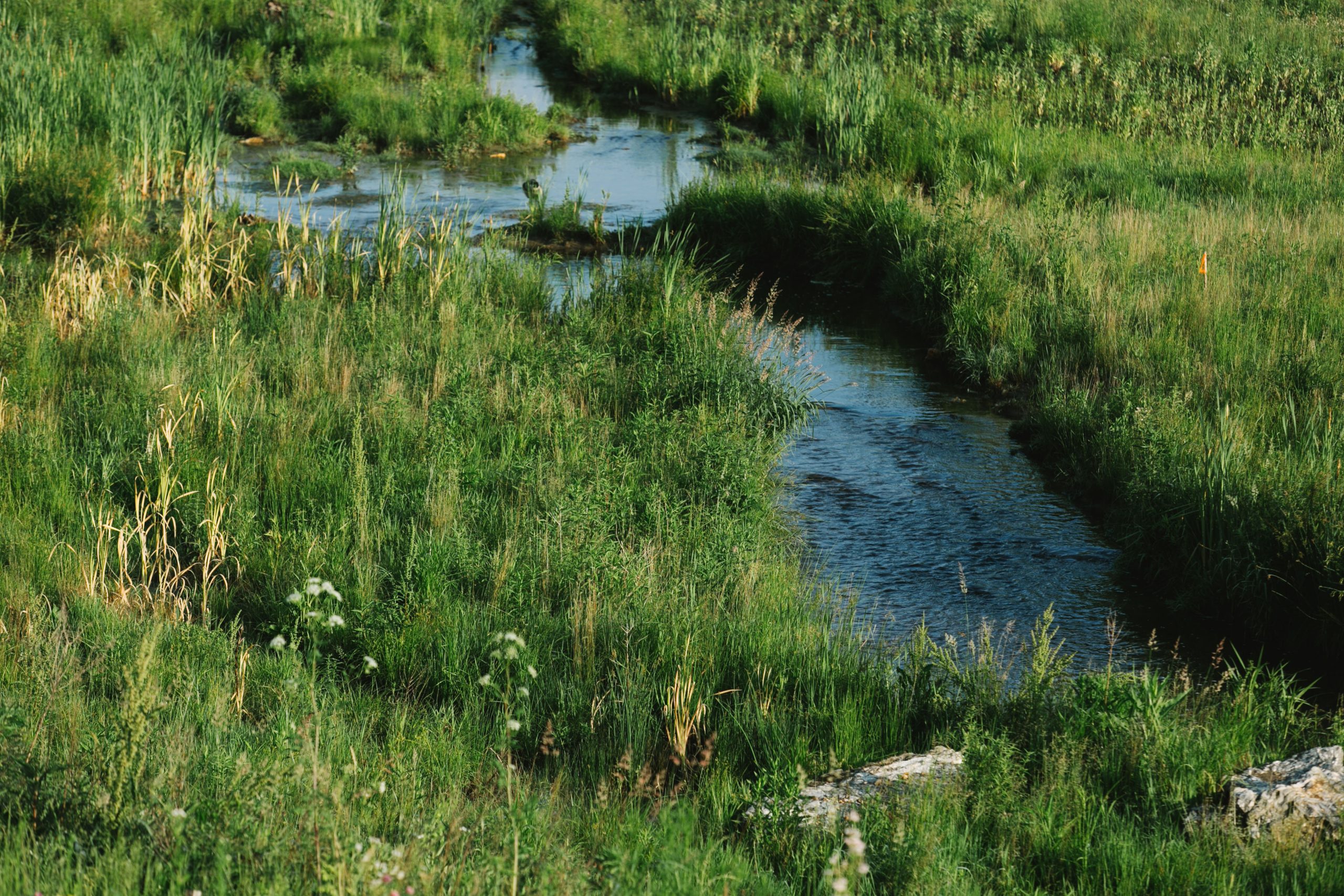 View More: http://char-co.pass.us/landstudies